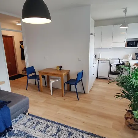 Sky View Loft Nearby Airport Vantaa